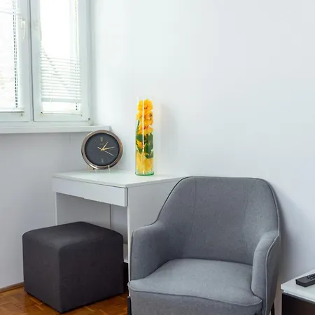 Zielinskiego Colourful Daire
